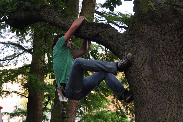 Leidens Ontzet 2011 – Climbing out of the tree