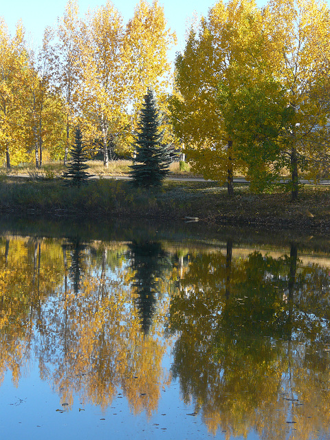 Lagoon reflections