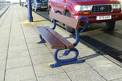Aberystwyth 2013 – Snake bench