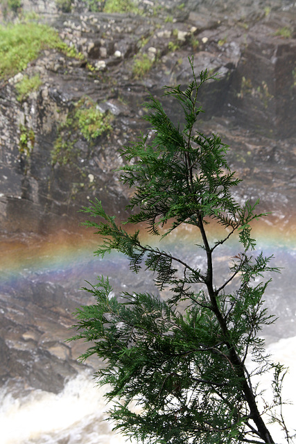 Rainbow over the falls (Explored)