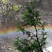 Rainbow over the falls (Explored)