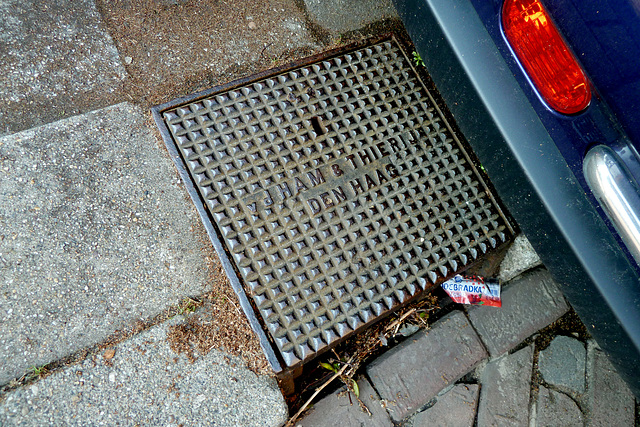 Drain cover of Van der Ham & Thierij