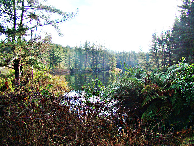 At Lake Maraetai