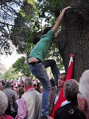 Leidens Ontzet 2011 – Climbing a tree to get a better view