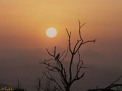 DSCF2306