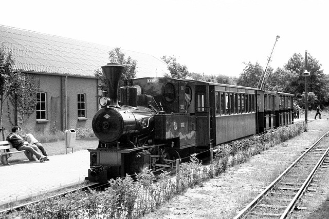 Stoom- en dieseldagen 2012 – Train arriving