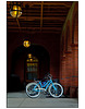 Bicycles Flagler College - Best of Show Florida State Fair 2011