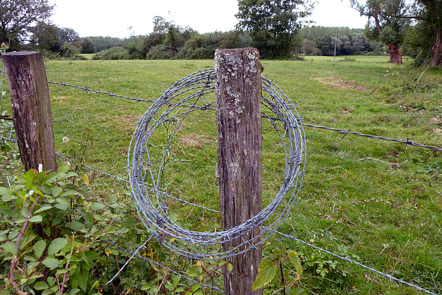France 2012 – Barbed wire