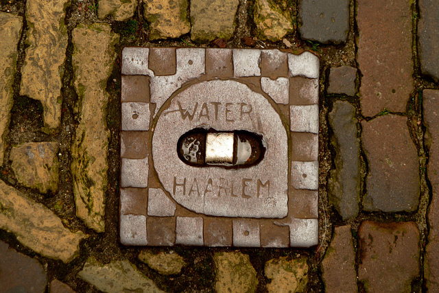 Water mains access cover in Haarlem