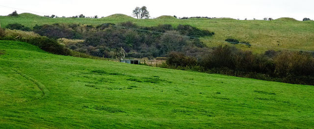 five marys barrows, chaldon herring, dorset