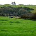 five marys barrows, chaldon herring, dorset