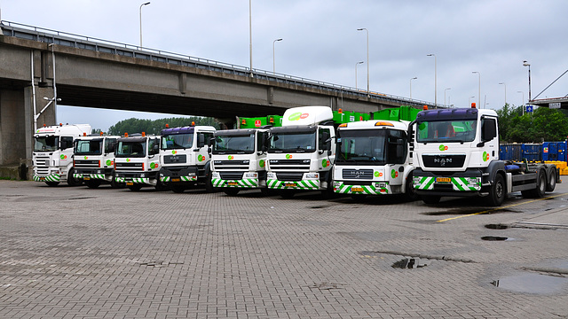 MAN & DAF lorry line-up