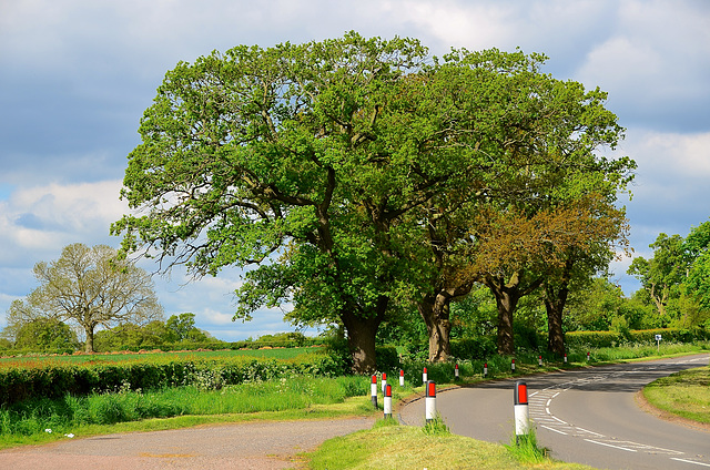 Haughton, Staffordshire