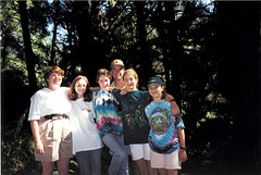 Fern Forest North of Arcata