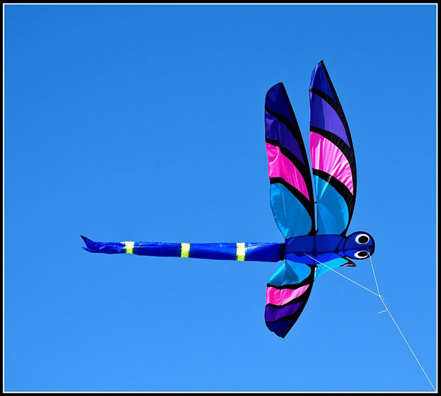 Kite - Southea Kite Festival