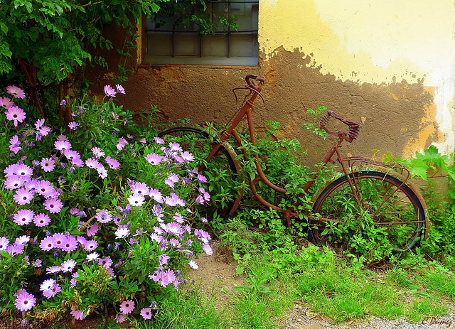 L'homochromie du vélo !