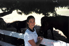 Madonna Inn Livestock