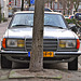 1982 Mercedes-Benz 230 CE and tree