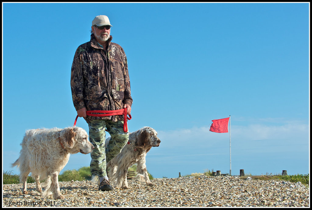 West Wittering - Dog Walking