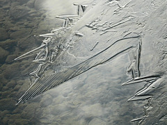 Blades of ice