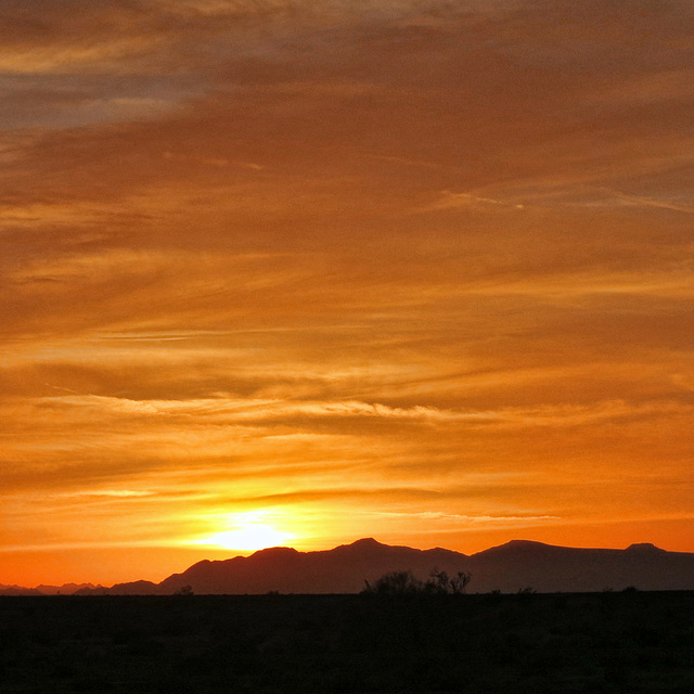 Mojave Desert