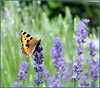 Have a nice week-end !