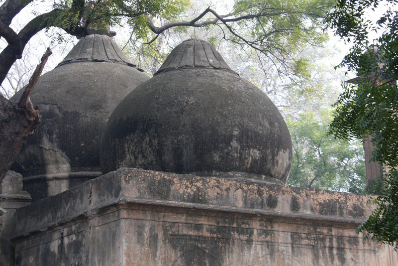 Mehrauli Archaeological Park