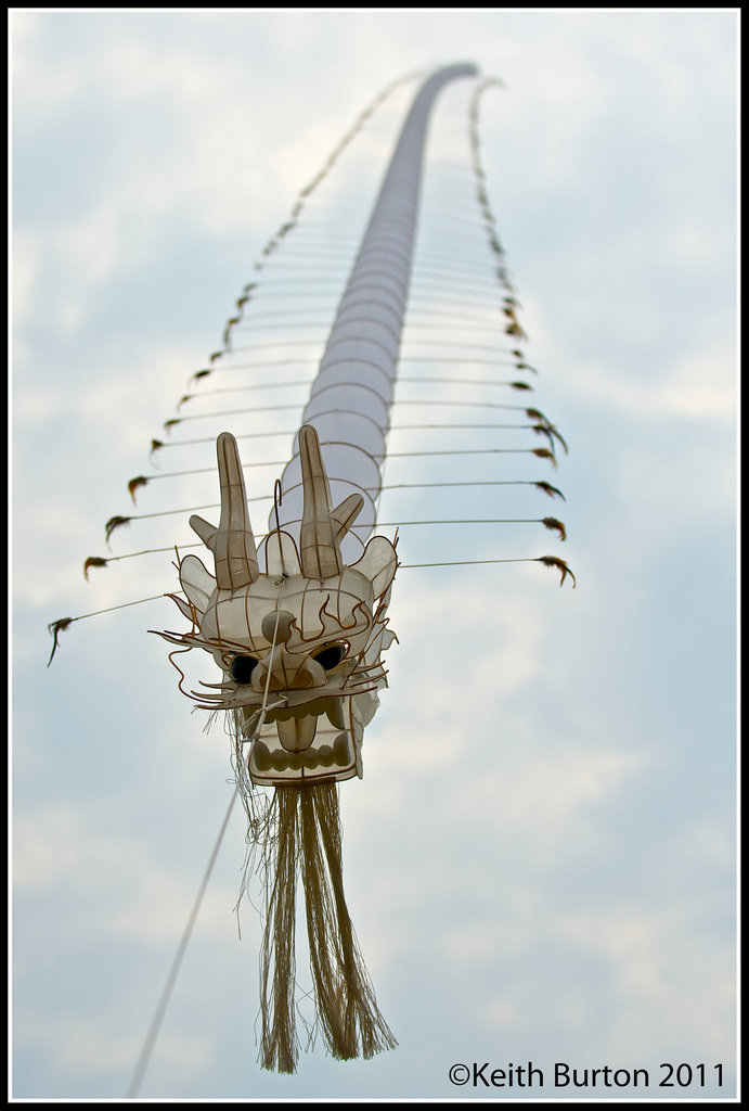 Dragon Kite at Exmouth Kite Festival