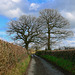 Country lane near Haughton, Staffordshire