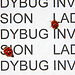 Ladybug invasion
