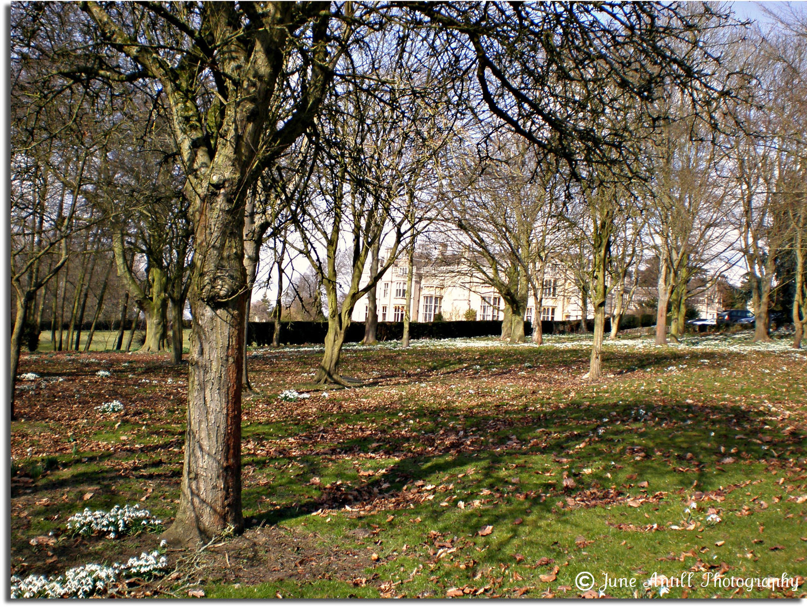 Grounds  of Rushton Hall