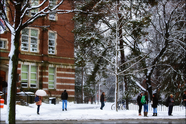 Downtown ~ Winter Day