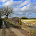 Country lane near Haughton, Staffordshire