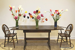 Garden Tulips #2