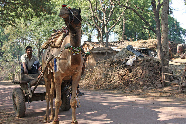 Leisurely travel