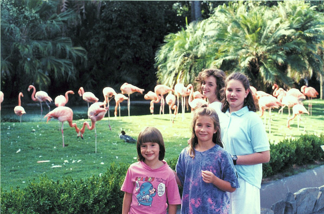 San Diego Zoo, 1990