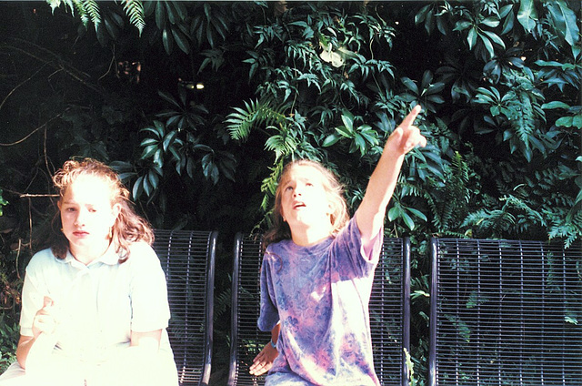 San Diego Zoo, 1990