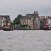 Dordt in Stoom 2012 – Steam tugs Scheelenkuhlen & Dockyard IX