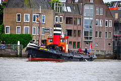 Dordt in Stoom 2012 – Steam tug Dockyard IX