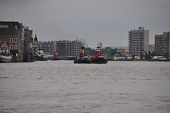 Dordt in Stoom 2012 – Steam tugs Scheelenkuhlen & Dockyard IX