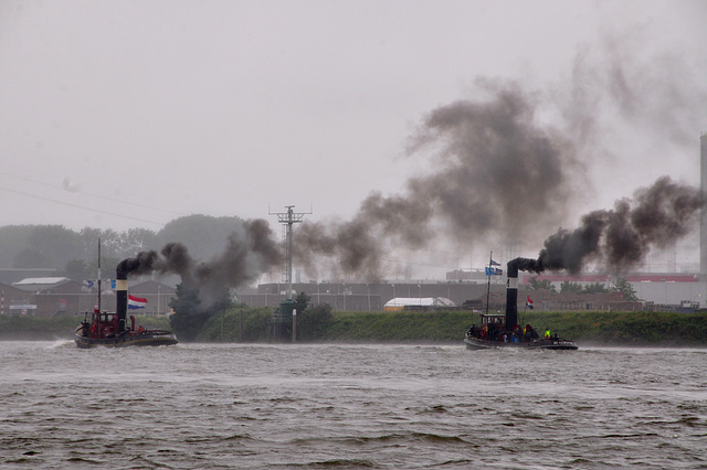 Dordt in Stoom 2012 – Steam tugs Adelaar en Hercules racing