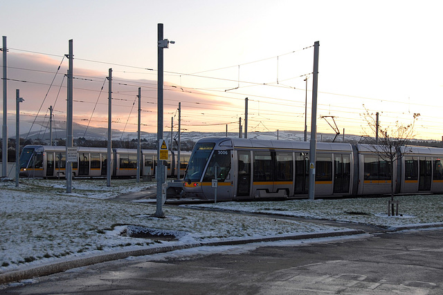 Luas Depot, Red Cow