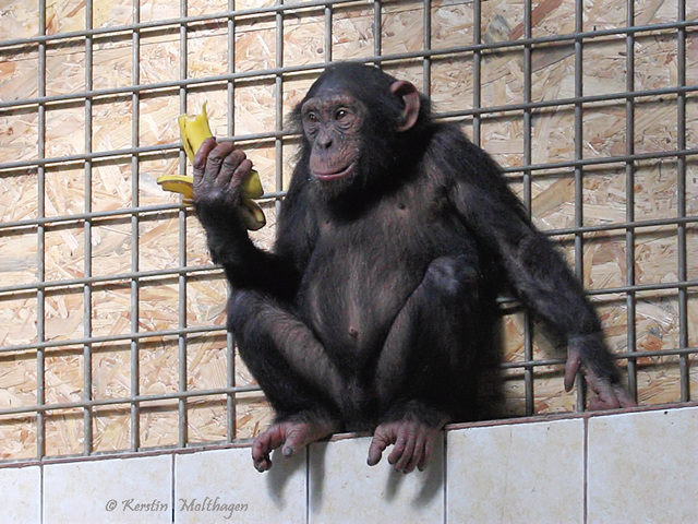 Kann man das essen? (Leintalzoo Schwaigern)