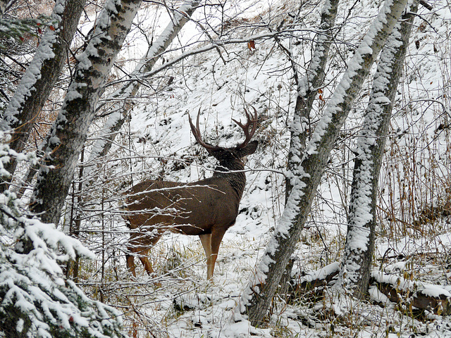 Watching the watcher