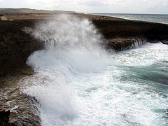 The rugged shoreline