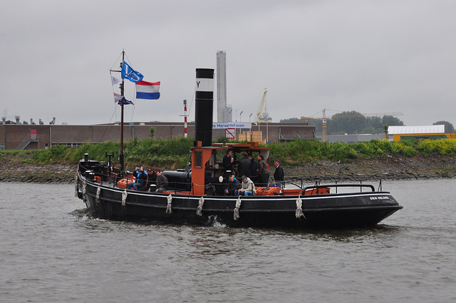 Dordt in Stoom 2012 – Steam tug Y8122