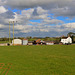 Fields near Haughton, Staffordshire