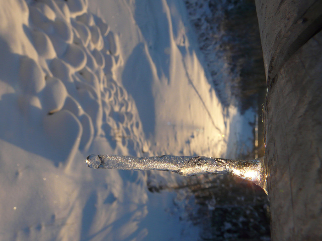 In the clutches of winter