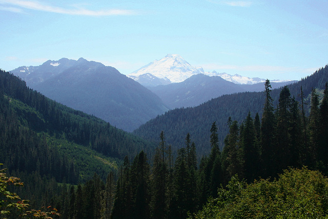 Mount Baker from the Yellow Aster Butte Trail