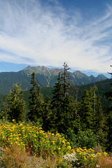 Late Summer in the North Cascades